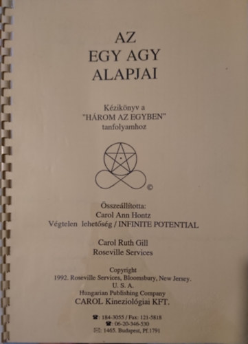 Carol Ann Hontz (sszell.) - Az egy agy alapjai; Kziknyv a "Hrom az Egyben" tanfolyamhoz
