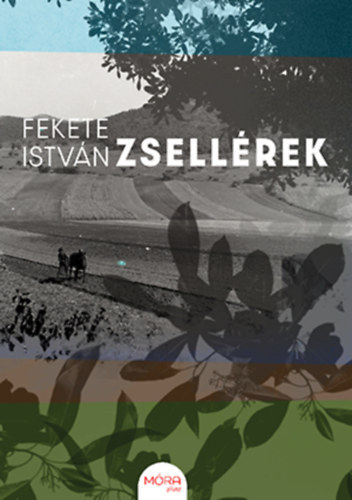 Fekete Istvn - Zsellrek