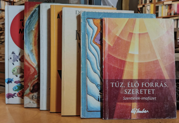 Fellegi Bla (szerk.) Katona Istvn, Dobos Marianne, Dom G.M. Oury O.S.B., Erich Sauer, Palnkay Gausz Tibor S. J., Bajtai Zsigmond, Vladr Gbor - 7 db keresztny ktet: Tz, l forrs, szeretet;A szvek ktelessge megmarad; Szzadok imdsgai; A vilgmegvlts hajnalprja; letfeladatunk Krisztus; Tallkozsaink Jzussal; "Utaid, Uram, mutasd meg!"