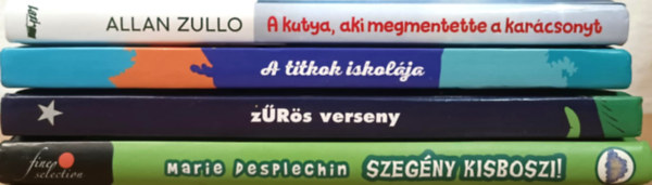 Allan Zullo, Marie Desplechin - Ifjsgi regnycsomag
