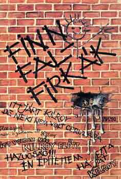 Heikki Jokinen - Finn falfirkák