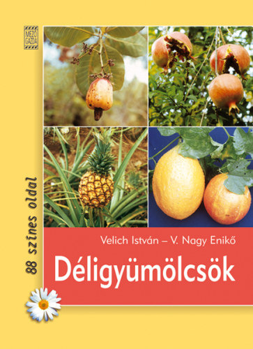 Velich Istvn; V. Nagy Enik - Dligymlcsk