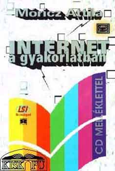 Mricz Attila - Internet a gyakorlatban