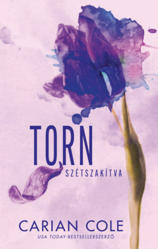 Carian Cole - Torn - Szétszakítva
