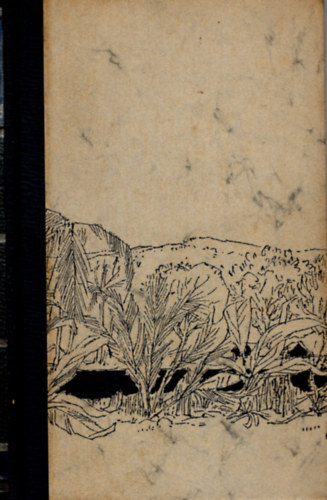 James Ramsey Ullman - Land der verheissung (német regény )