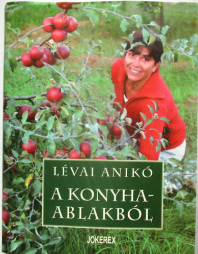 Lévai Anikó - A konyhaablakból
