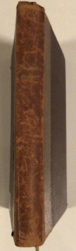 Nagy Endre - Szeplőtlen asszony