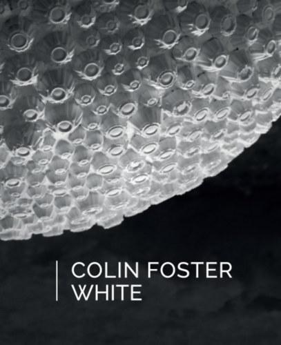 Dr. Ocsovai Dra (szerk.) - Colin Foster: White