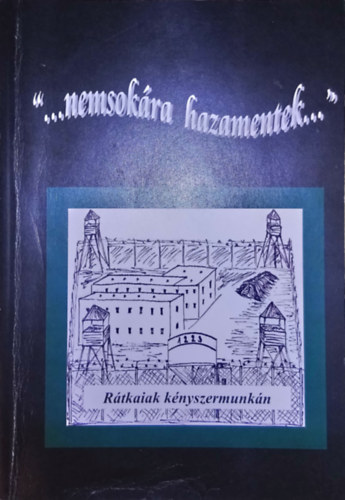 Endr�sz Gy�rgy - "... nemsok�ra hazamentek..." - R�tkaiak k�nyszermunk�n