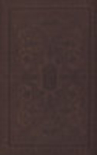 J�kai M�r - Felfordult vil�g - �szak hon�b�l - A debreczeni lun�tikus (Nemzeti kiad�s 34.)