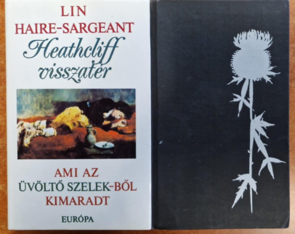 Emily Bronte, Lin Haire-Sargeant - vlt szelek + Heathcliff visszatr - Ami az vlt szelekbl kimaradt - 2 m