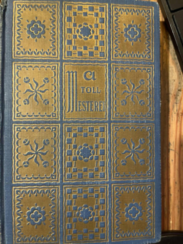 Szomahzy Istvn - Villnyi professzor