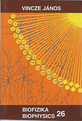 Vincze János - Biofizika 26 Biophysics
