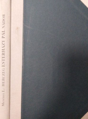 Merényi Lajos - Herczeg Esterházy Pál nádor 1635-1713
