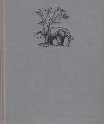 Sz�chenyi Zsigmond - Denatur�lt Afrika (Feles�gemmel a Fekete F�ldr�szen)