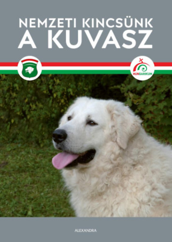 Nemzeti kincsnk a kuvasz