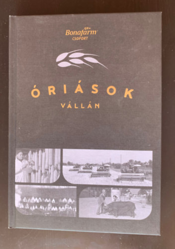 Nyry Krisztin, Hevesi Judit - risok vlln