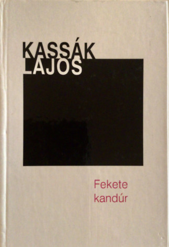 Kassák Lajos - Fekete kandúr