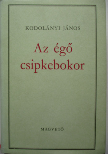 Borisz Vasziljev - Az égő csipkebokor