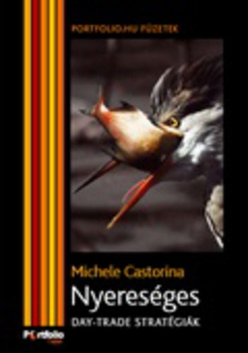 Michele Castorina - Nyereséges (Day-trade stratégiák)