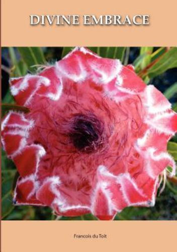 Francois du Toit - Divine Embrace (Isteni �lel�s)