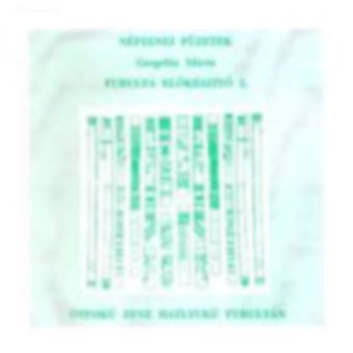 Gergelits Márta - Furulya előkészítő II.