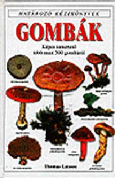 Thomas Laessoe - Gomb�k