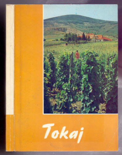 Tzsa Istvn (szerk.) - Tokaj (2., tdolgozott kiads, kpeslap mellklettel)