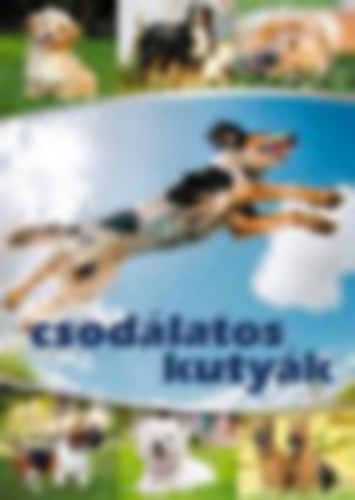 Csodlatos kutyk