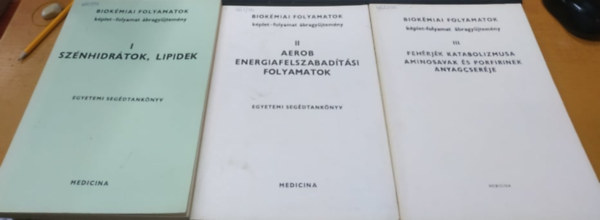 Antoni Ferenc, Somogyi Jnos, Vodnynszky Lajos - 6 db Biokmiai folyamatok: I.: sznhidrtok, lipidek; II.: Aerob energiafelszabadtsi folyamatok; III.: fehrjk katabolizmusa, aminosavak s porfirinek anyagcserje; IV.: nukleotidok; membrnbiokmia, immunbiokmia; A makromolekulk bi