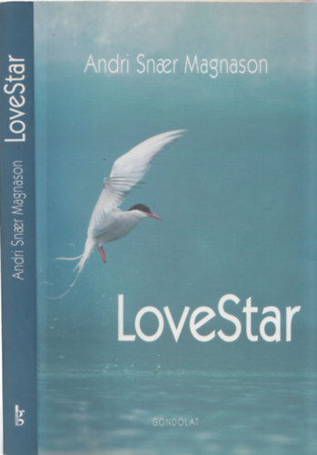 Andri Snaer Magnason - LoveStar