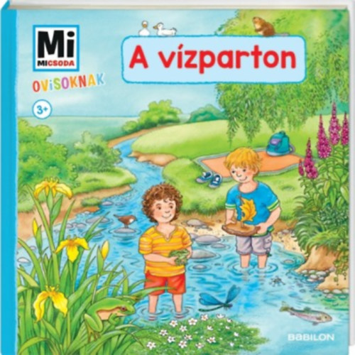 Mi Micsoda Ovisoknak - A vzparton