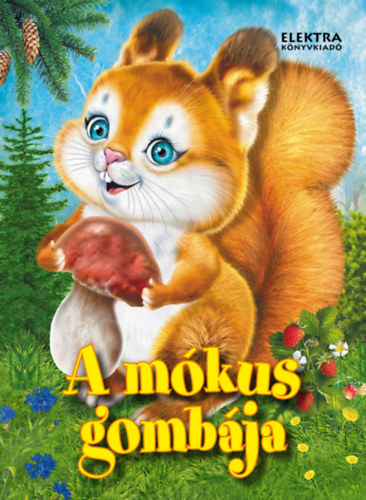 A m�kus gomb�ja