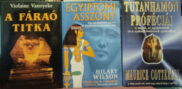 Maurice Cotterell, Hilary Wilson, Vanoyeke Violaine - Egyiptomi tmj knyvcsomag