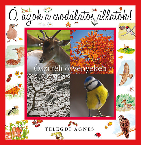 Telegdi gnes - , azok a csodlatos llatok - szi-tli svnyeken