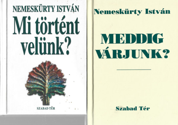 Nemesk�rty Istv�n - 2 db k�nyv, Mi t�rt�nt vel�nk?, Meddig v�rjunk?