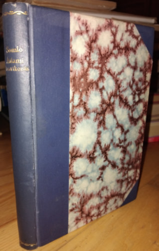 Soml� B�dog - �llami beavatkoz�s �s individualizmus