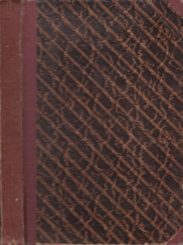 Verne Gyula - Egy khinai viszontagságai Khinában