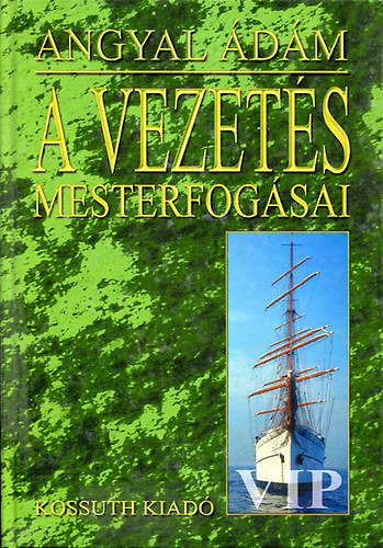 Angyal dm - A vezets mesterfogsai
