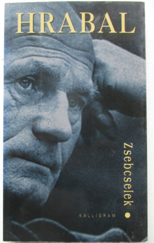 Bohumil Hrabal - Zsebcselek - Interjúregény