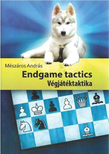Mészáros András - Endgame tactics - Végjátéktaktika