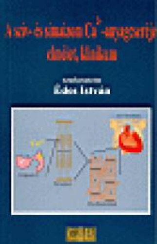 A szív- és simaizom ca2+ - anyagcseréje: