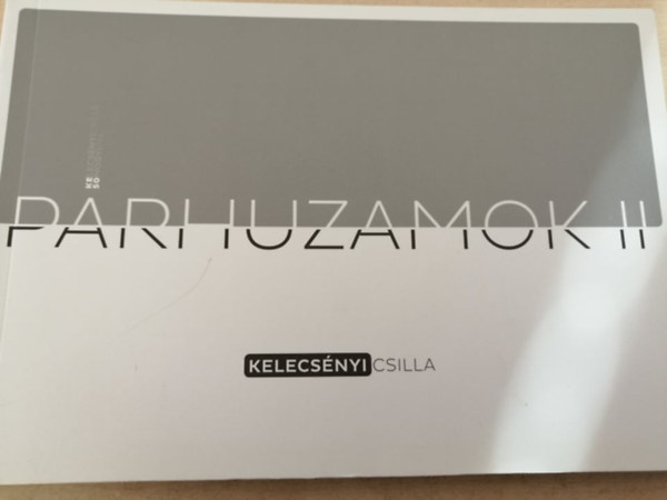 Kelecsnyi Csilla, Somogyi Pl - Prhuzamok II
