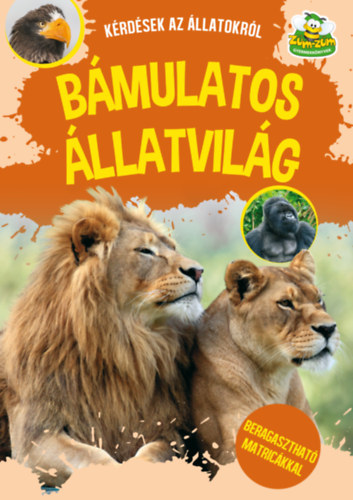 Bmulatos llatvilg