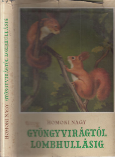 Homoki-Nagy Istv�n - Gy�ngyvir�gt�l lombhull�sig - Sz�nes filmmel vadmadarak ut�n (Egy term�szetfilmez� karcolatai) - I. kiad�s