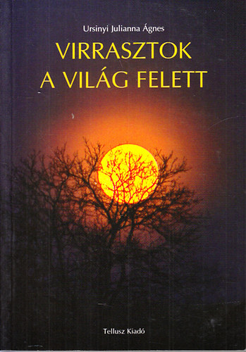 Ursinyi Julianna gnes - Virrasztok a vilg felett