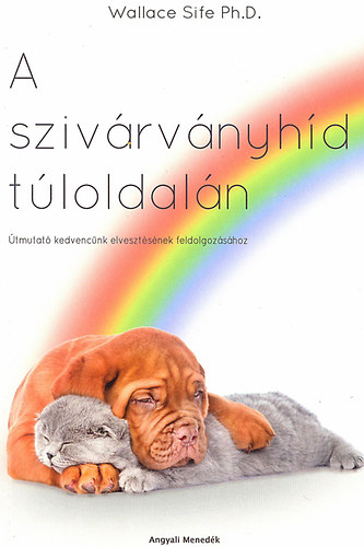 Wallace Sife - A szivrvnyhd tloldaln