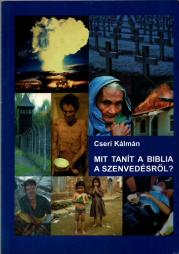 Cseri Klmn - Mit tant a Biblia a szenvedsrl?