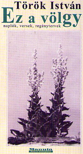 Török István - Ez a völgy ( naplók, versek, regénytervek 1928-1950)