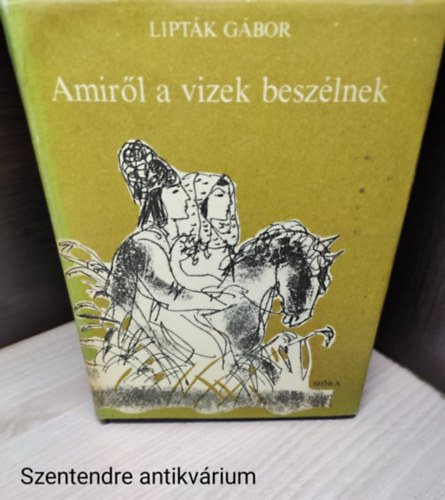 Liptk Gbor - Amirl a vizek beszlnek-Fekete-fehr illusztrcikat tartalmaz.(sajt kppel)